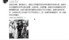 娱乐421吃瓜总结,揭秘娱乐圈背后的吃瓜故事