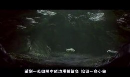 末日海底在线观看,深海奇观与末世危机的惊险之旅