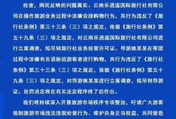 荆楚网网友爆料新闻视频,惊现新闻视频，揭秘事件真相！