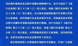 荆楚网网友爆料新闻视频,惊现新闻视频，揭秘事件真相！