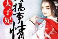 太子妃在线观看,穿越古代宫廷的浪漫传奇