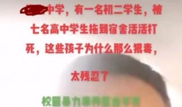 爆料安徽学生死亡视频,真相背后引人深思