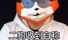 嘎子爆料圈内容