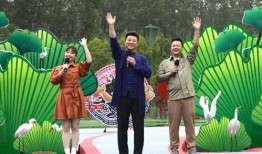 孝昌最新爆料新闻视频,惊人真相曝光，视频揭示惊人内幕！