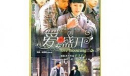 爱盛开在线观看,浪漫邂逅，青春绽放的甜蜜旋律