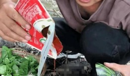 网红吃瓜表情包动态图,笑料百出，趣味横生