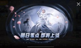 祭司虚妄爆料网易视频,网易视频背后的真相曝光