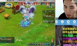 梦幻西游平头哥爆料视频,揭秘游戏内幕与精彩瞬间