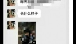 爆料浙江大学事件视频最新,真相与争议交织，校园风云再起