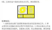 蓝海员工爆料视频播放