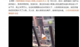快递爆料小哥视频播放下载,视频播放下载背后的秘密