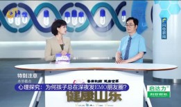 山东在线直播观看,全景体验齐鲁文化魅力