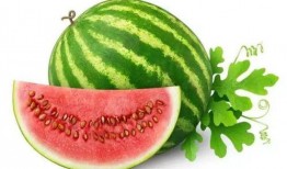 潍坊吃瓜网红有哪些名字,瓜田里的“吃瓜群众”风采录