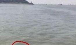 网友爆料长江大桥视频播放,中国建筑奇迹！